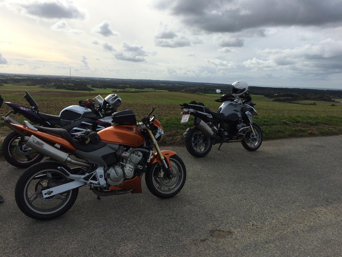 Honda CB600F Hornet  billede 17