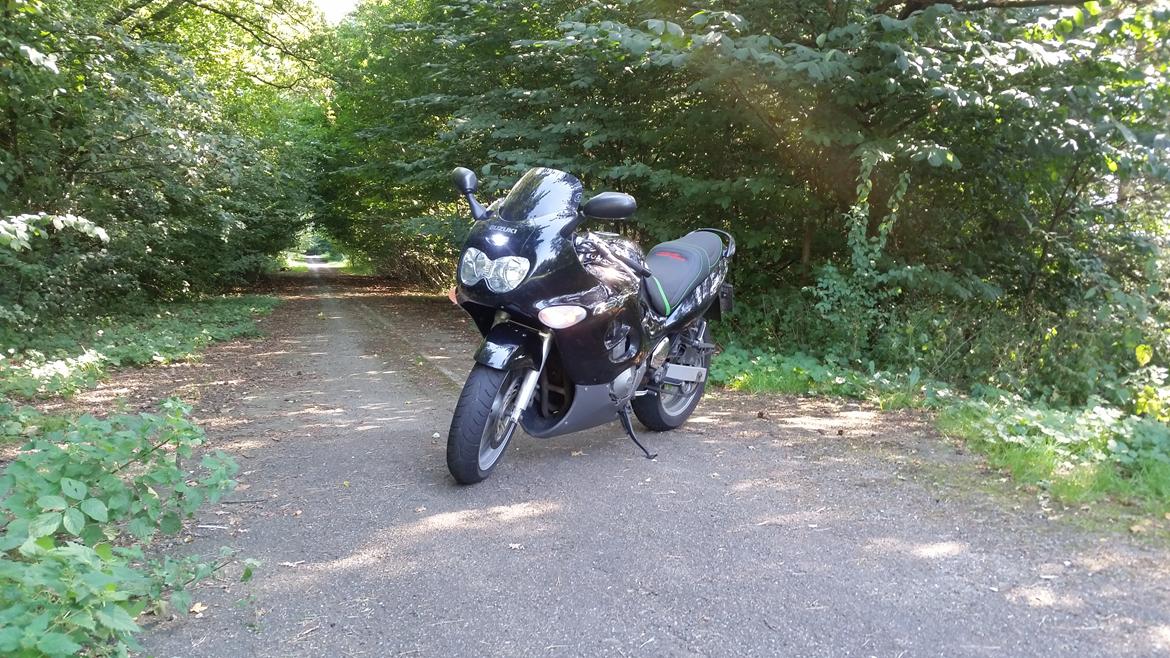 Suzuki GSX 600F billede 19