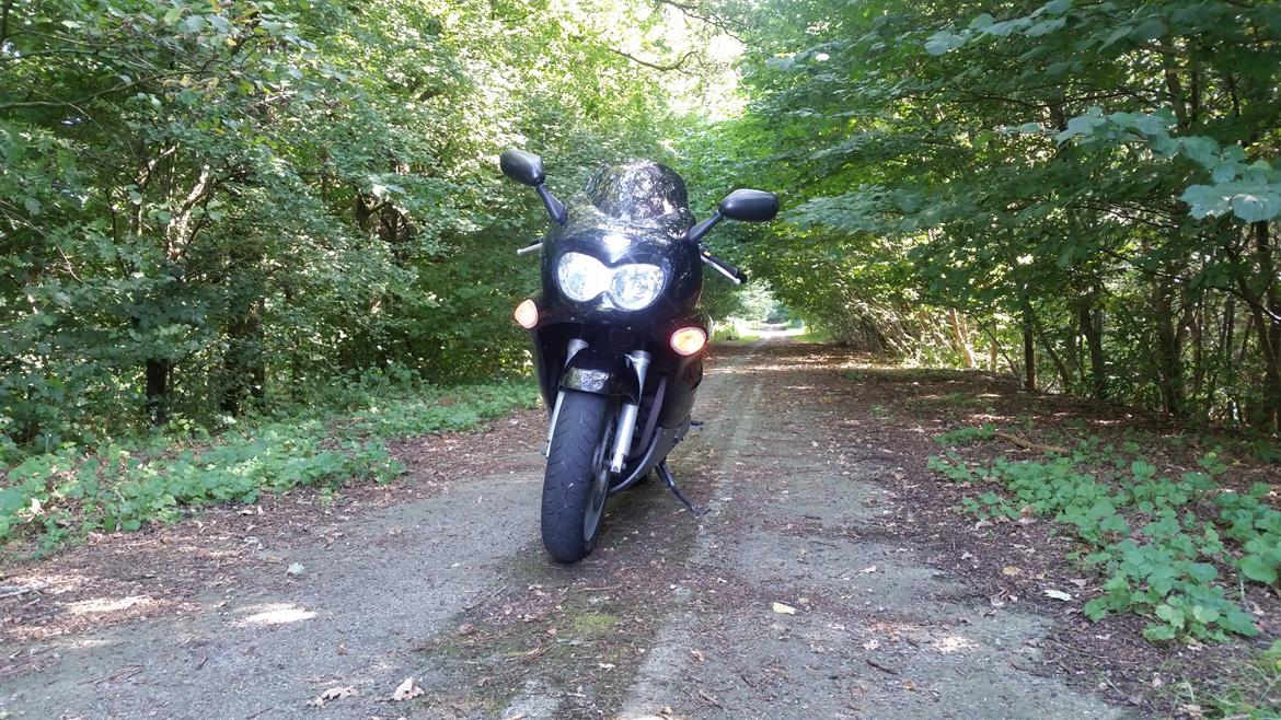 Suzuki GSX 600F billede 20