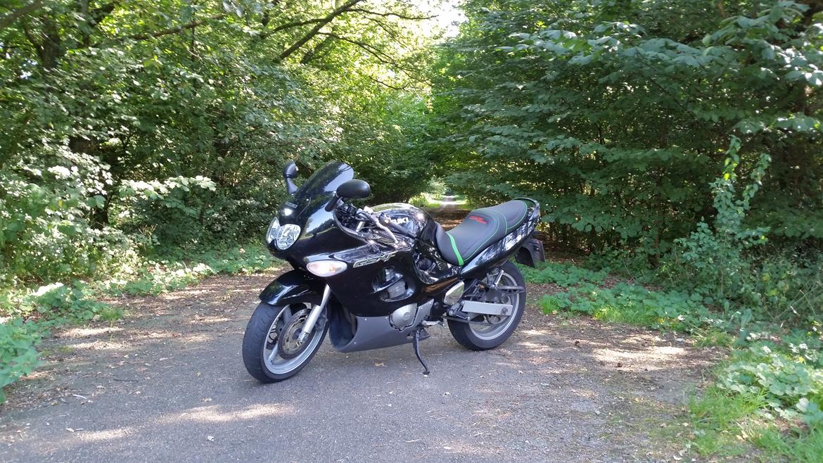 Suzuki GSX 600F billede 18
