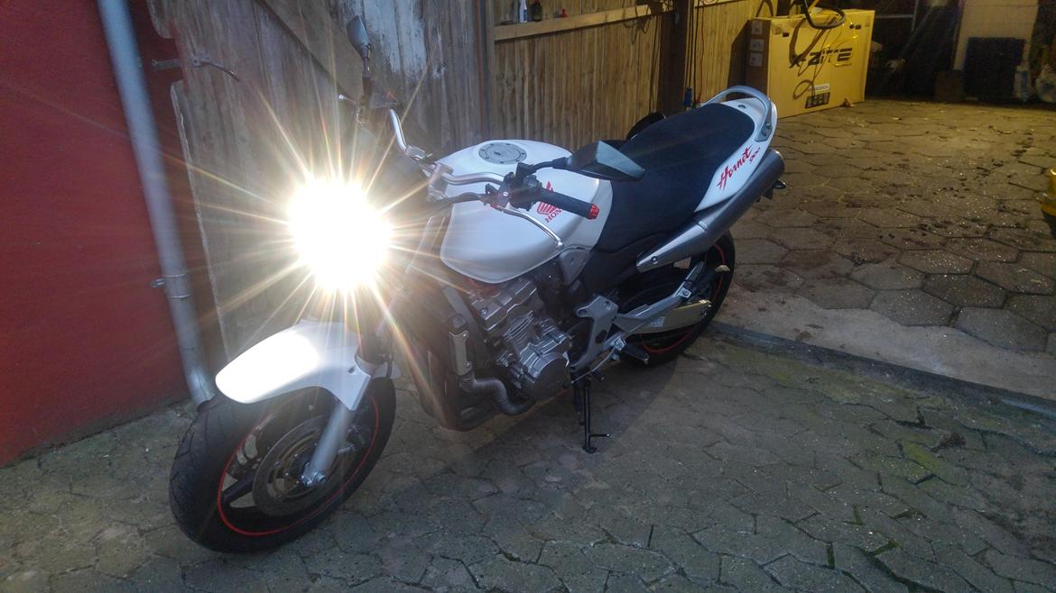 Honda cb 900 f hornet (SMADRET)  billede 3