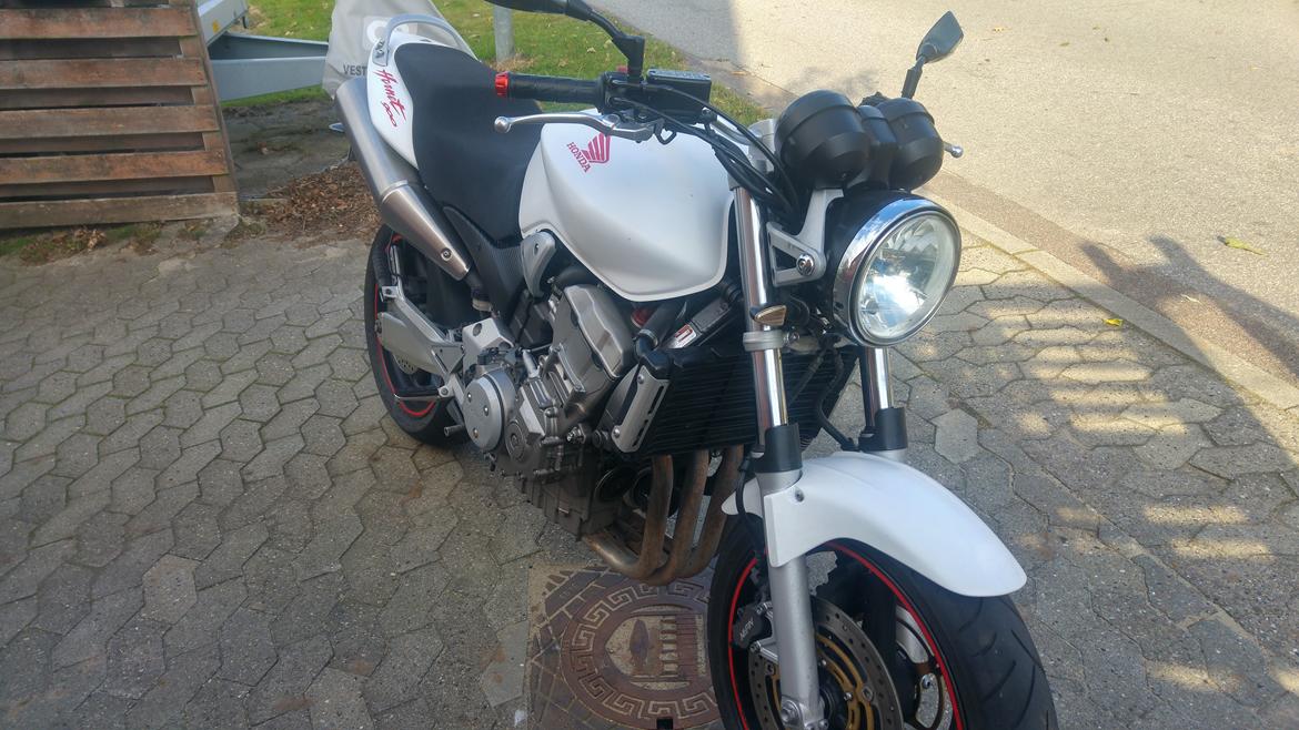 Honda cb 900 f hornet (SMADRET)  billede 1