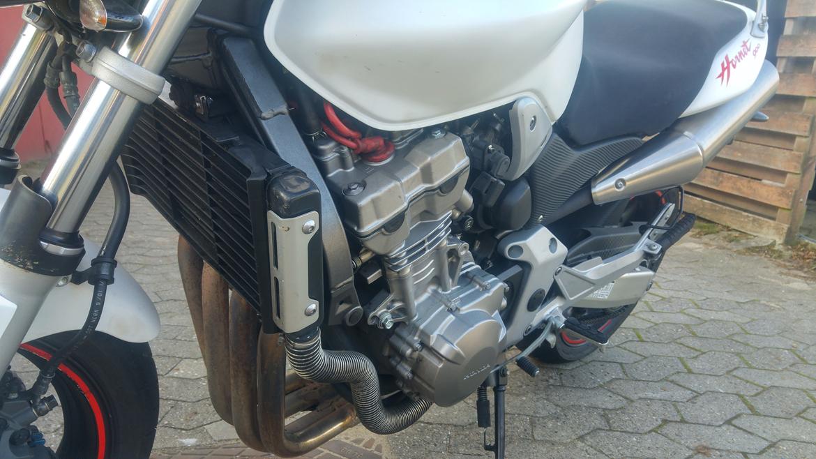 Honda cb 900 f hornet (SMADRET)  billede 6