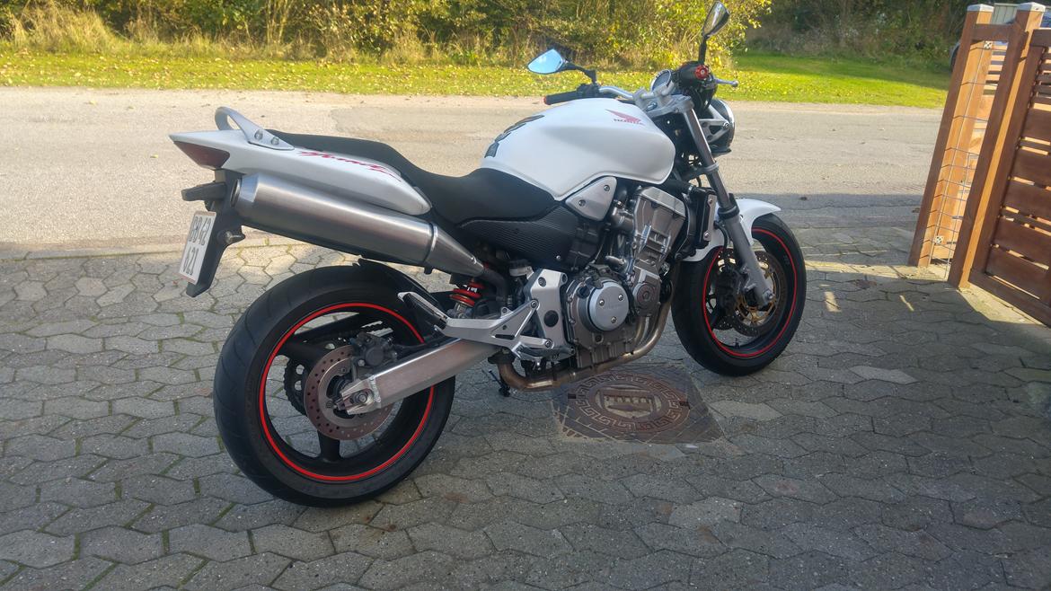 Honda cb 900 f hornet (SMADRET)  billede 8