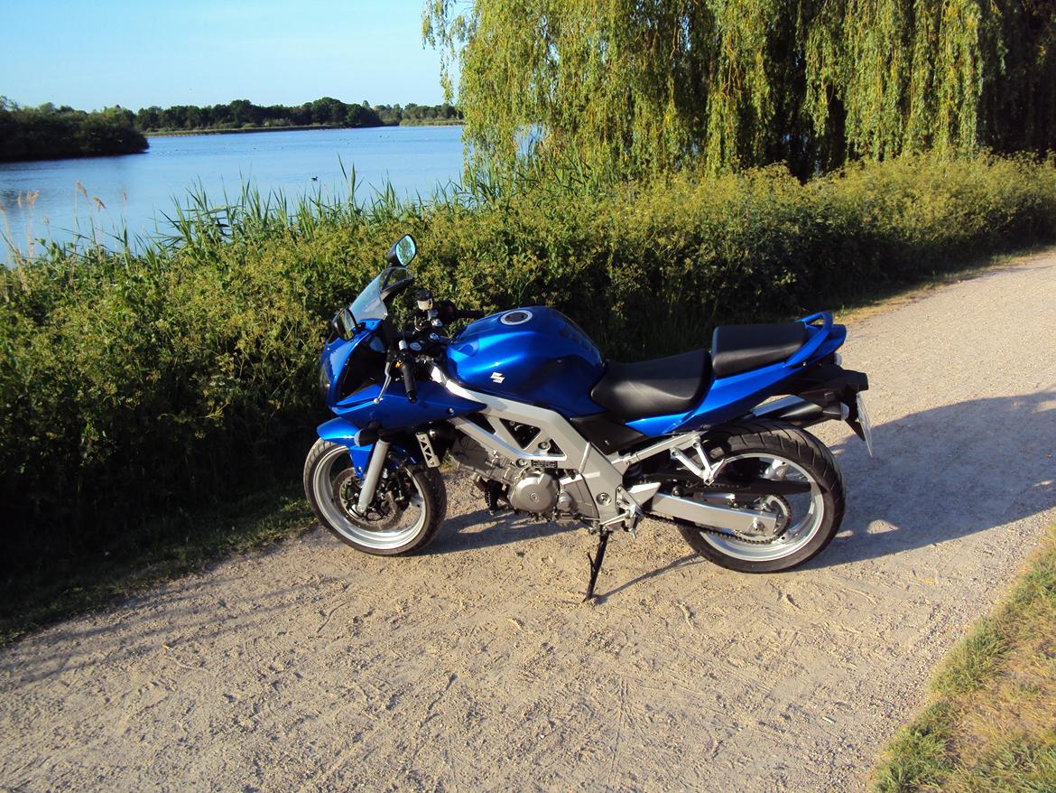 Suzuki SV650S billede 9