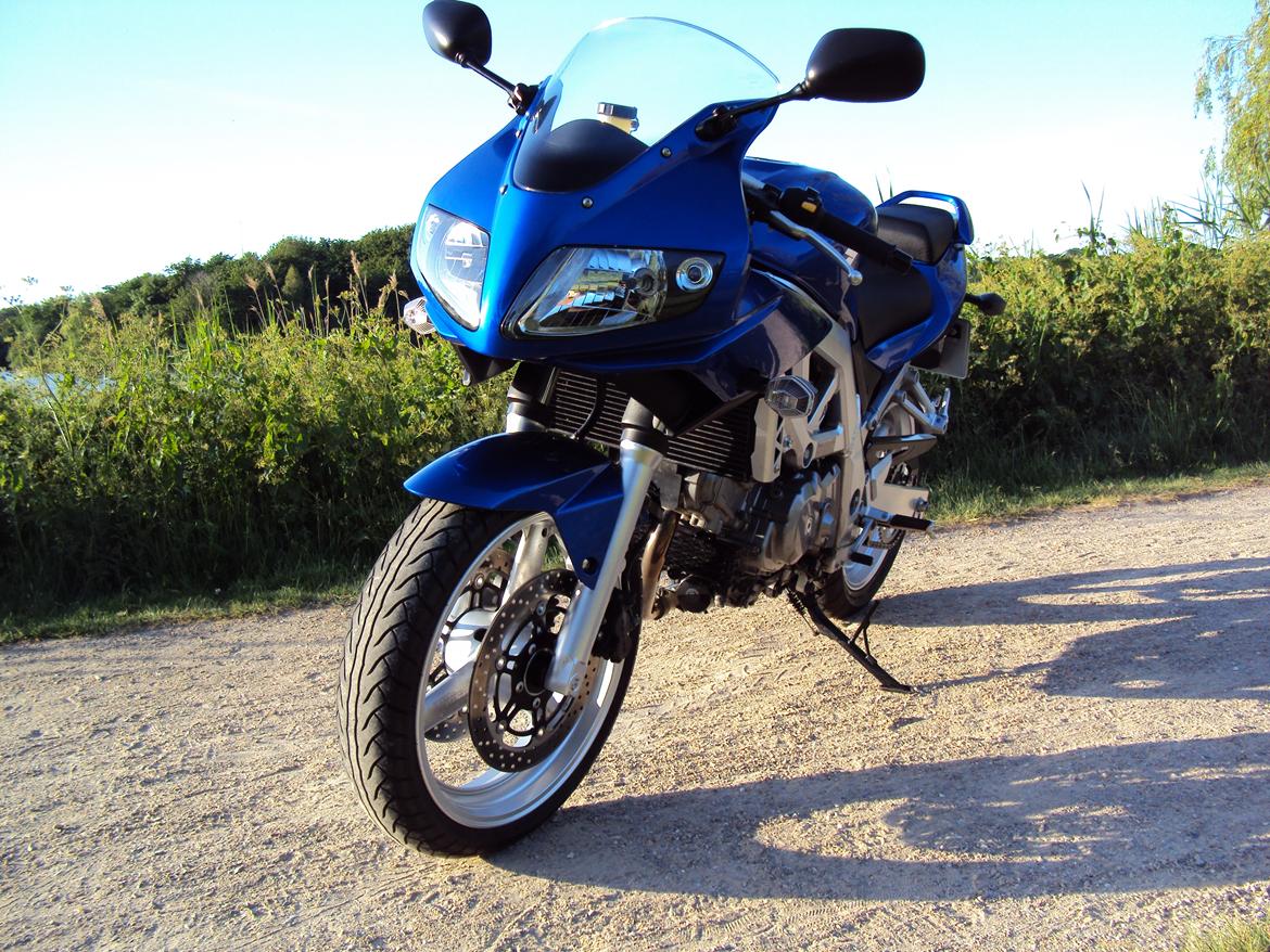 Suzuki SV650S billede 11