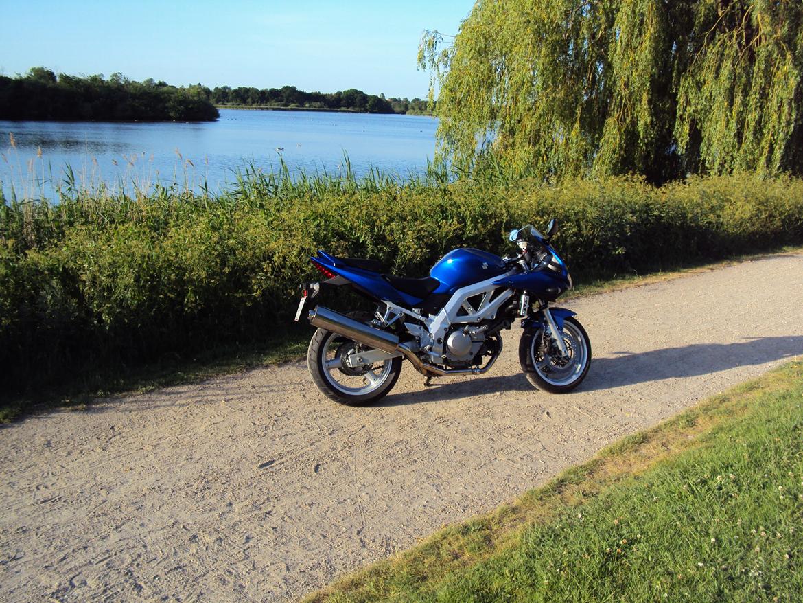Suzuki SV650S billede 6