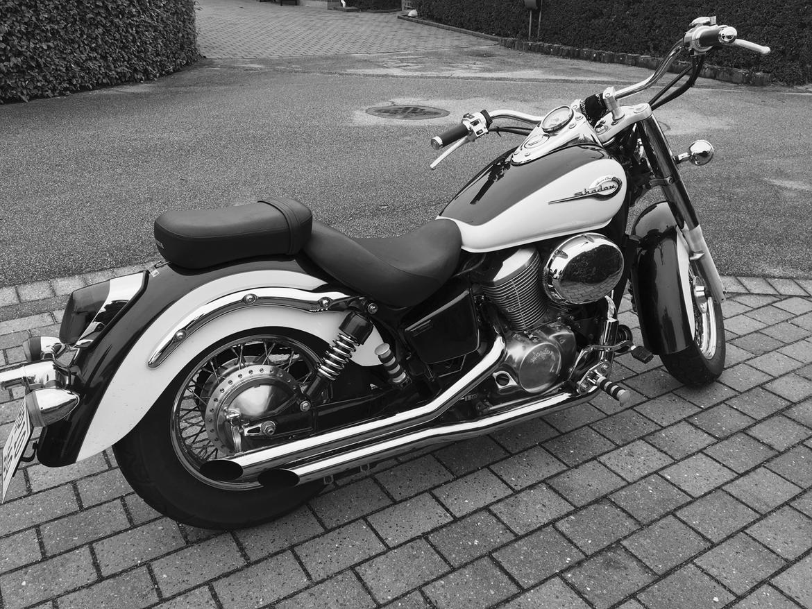 Honda SHADOW VT 750 ACE billede 13