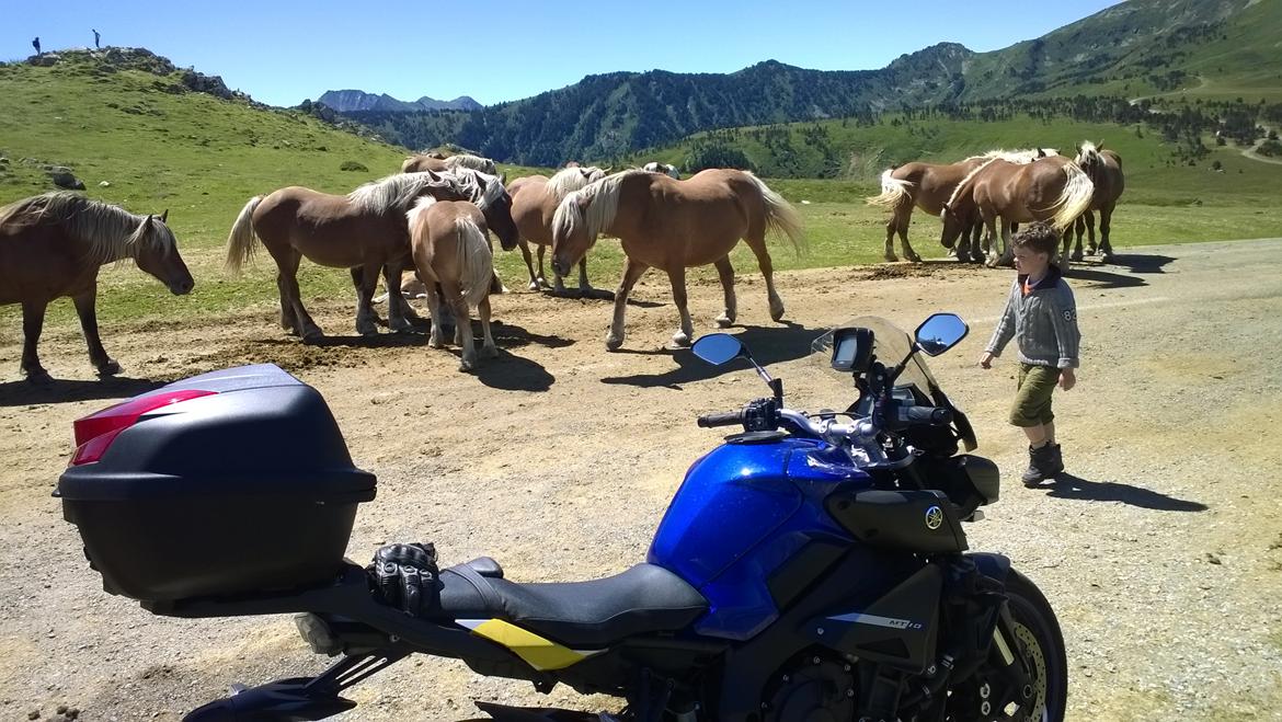 Yamaha MT-10 billede 8