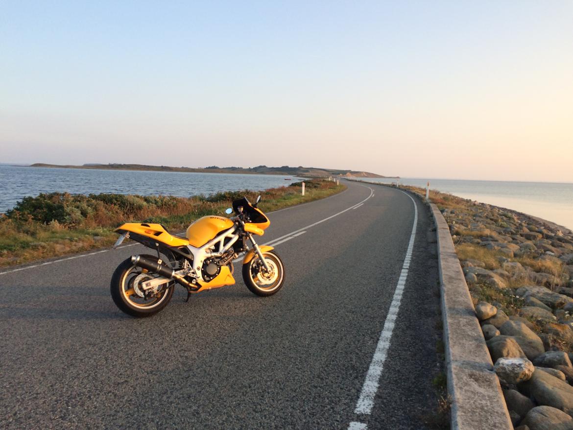 Suzuki SV 650 S  billede 8