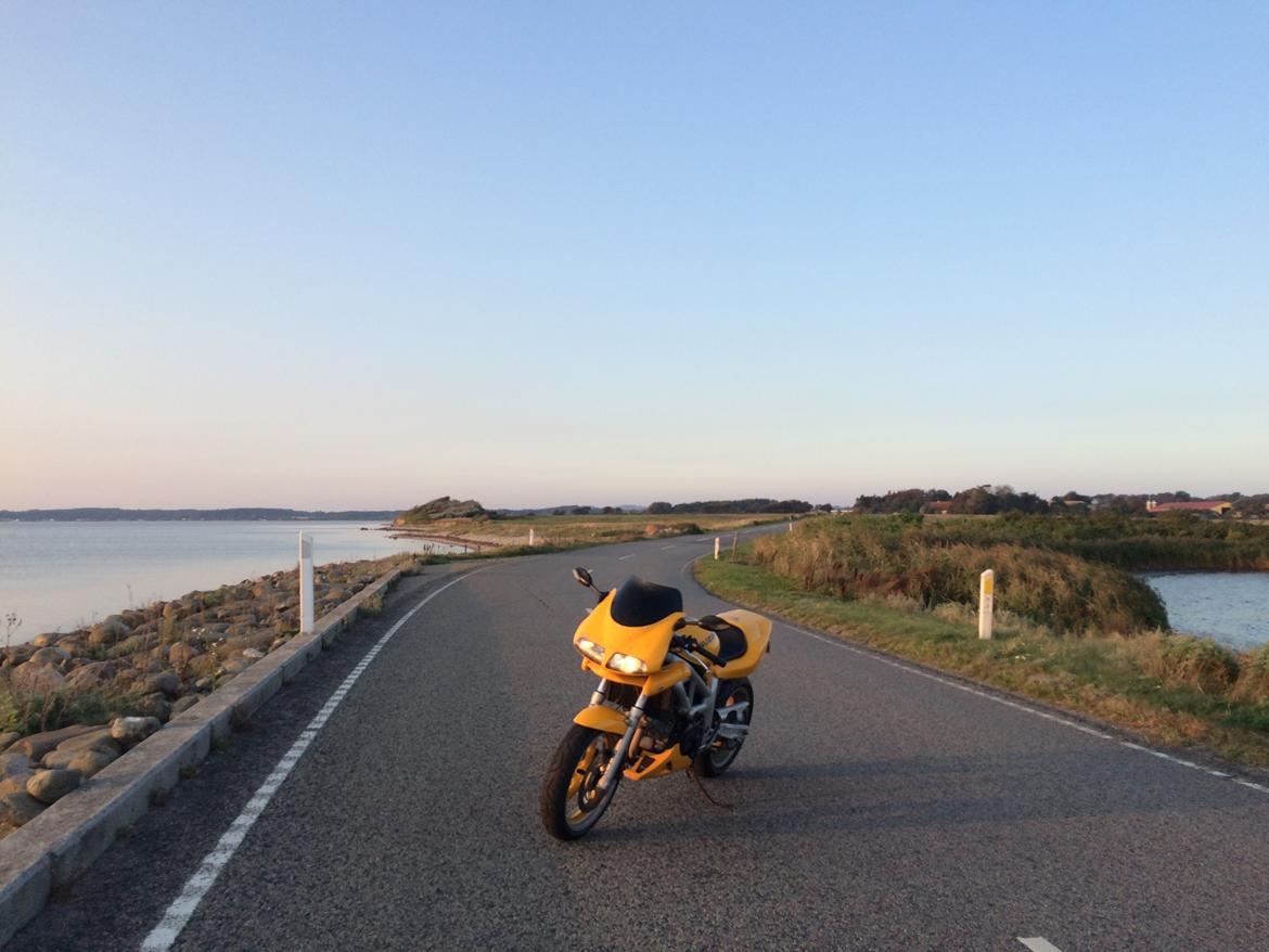Suzuki SV 650 S  billede 9