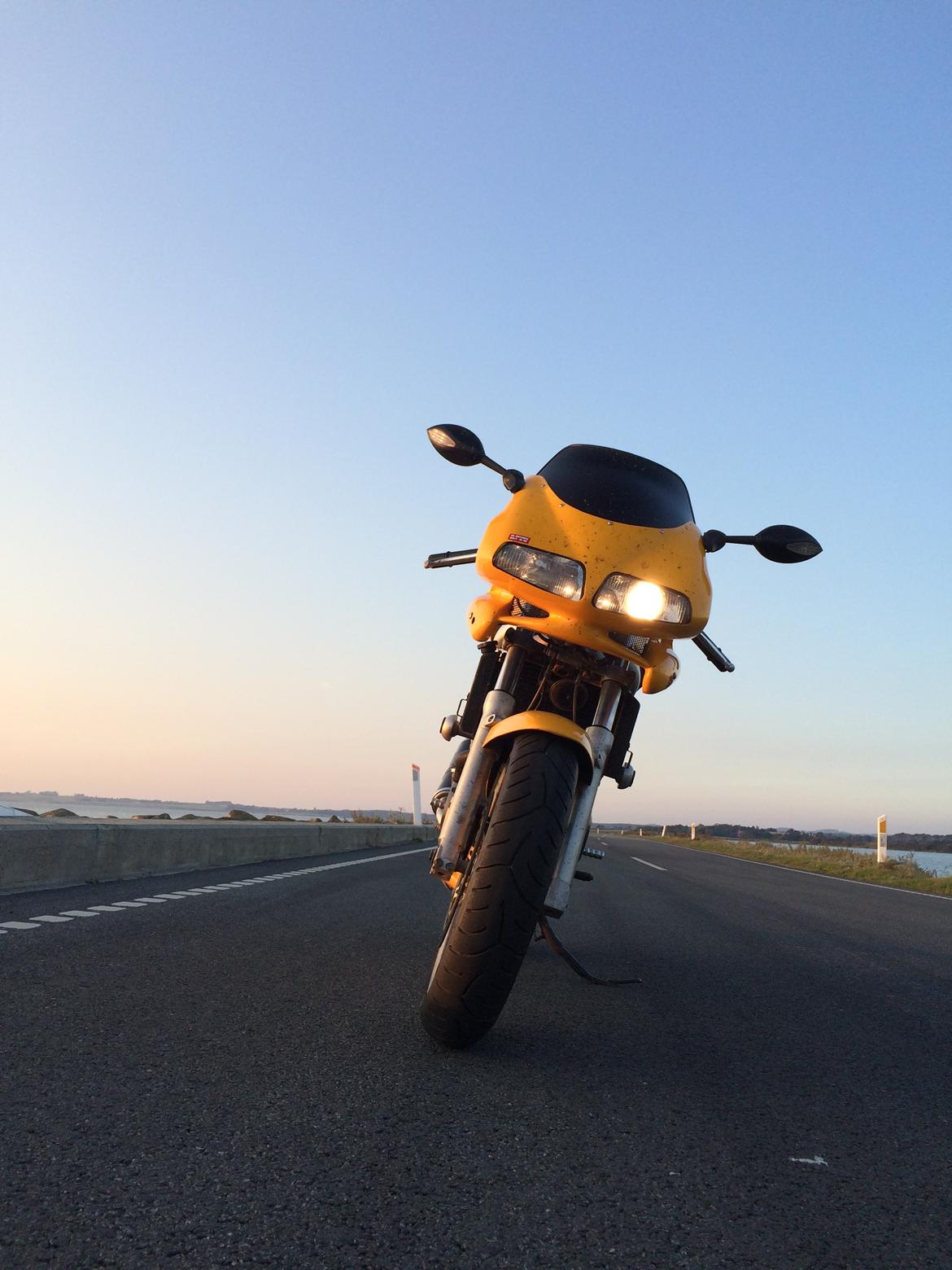 Suzuki SV 650 S  billede 11