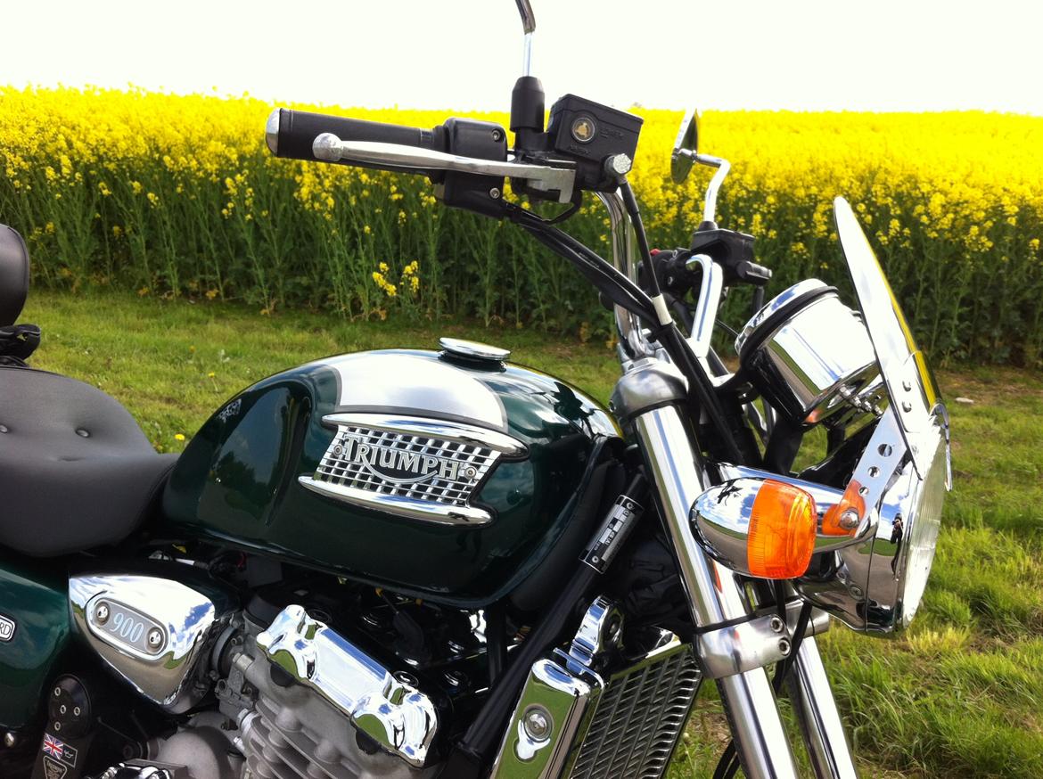 Triumph Thunderbird 900 billede 2