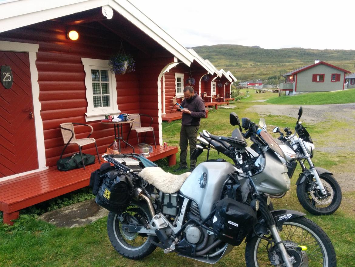 Honda Transalp  billede 5