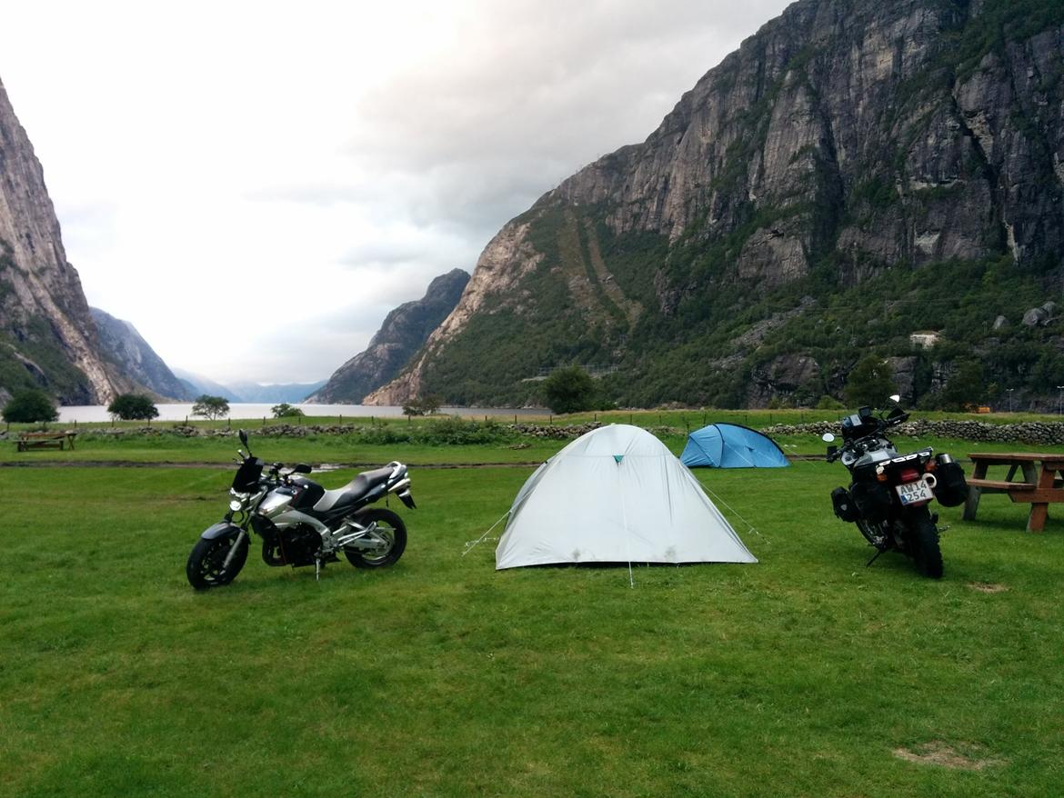 Honda Transalp  billede 6