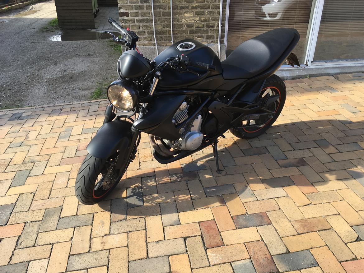 Kawasaki Er-6n billede 1