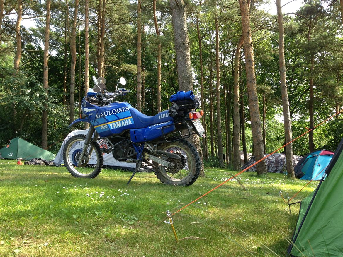 Yamaha XT 600 Z Tenere 3AJ billede 2