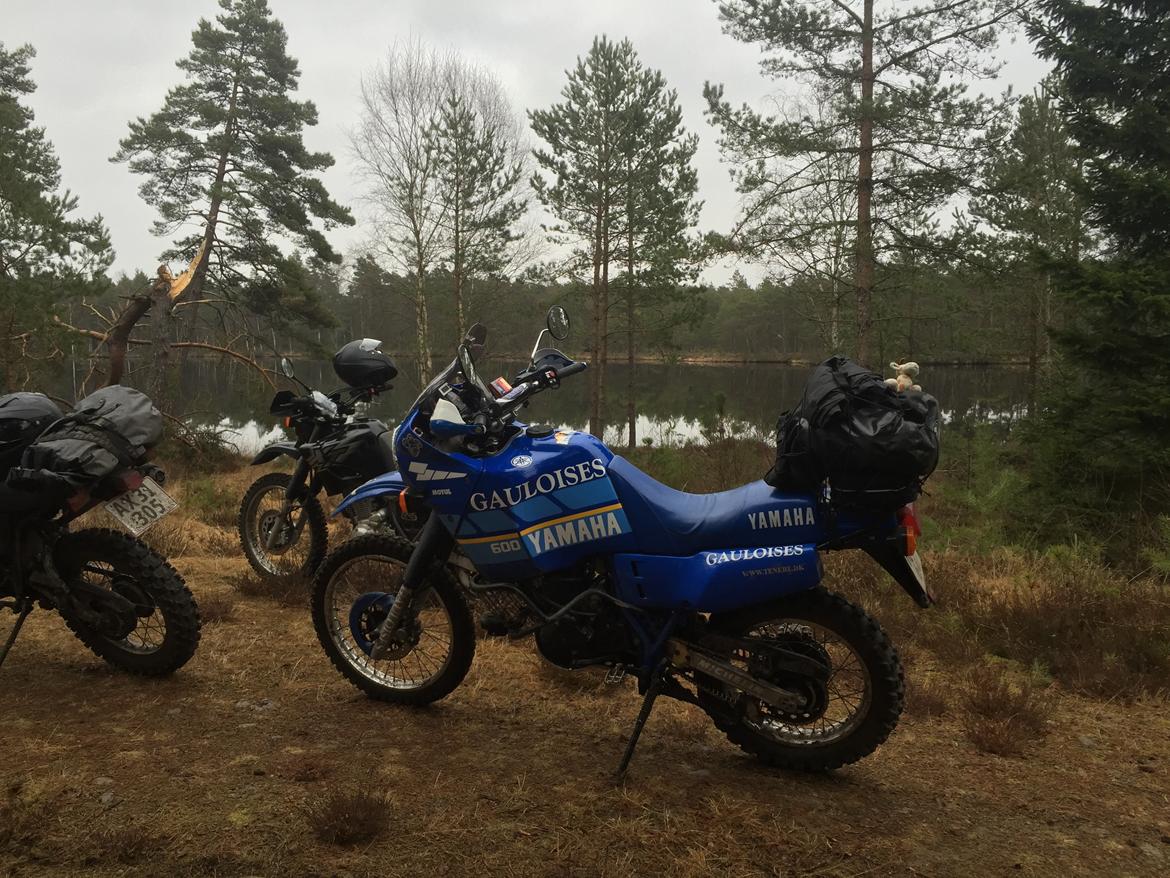 Yamaha XT 600 Z Tenere 3AJ billede 5