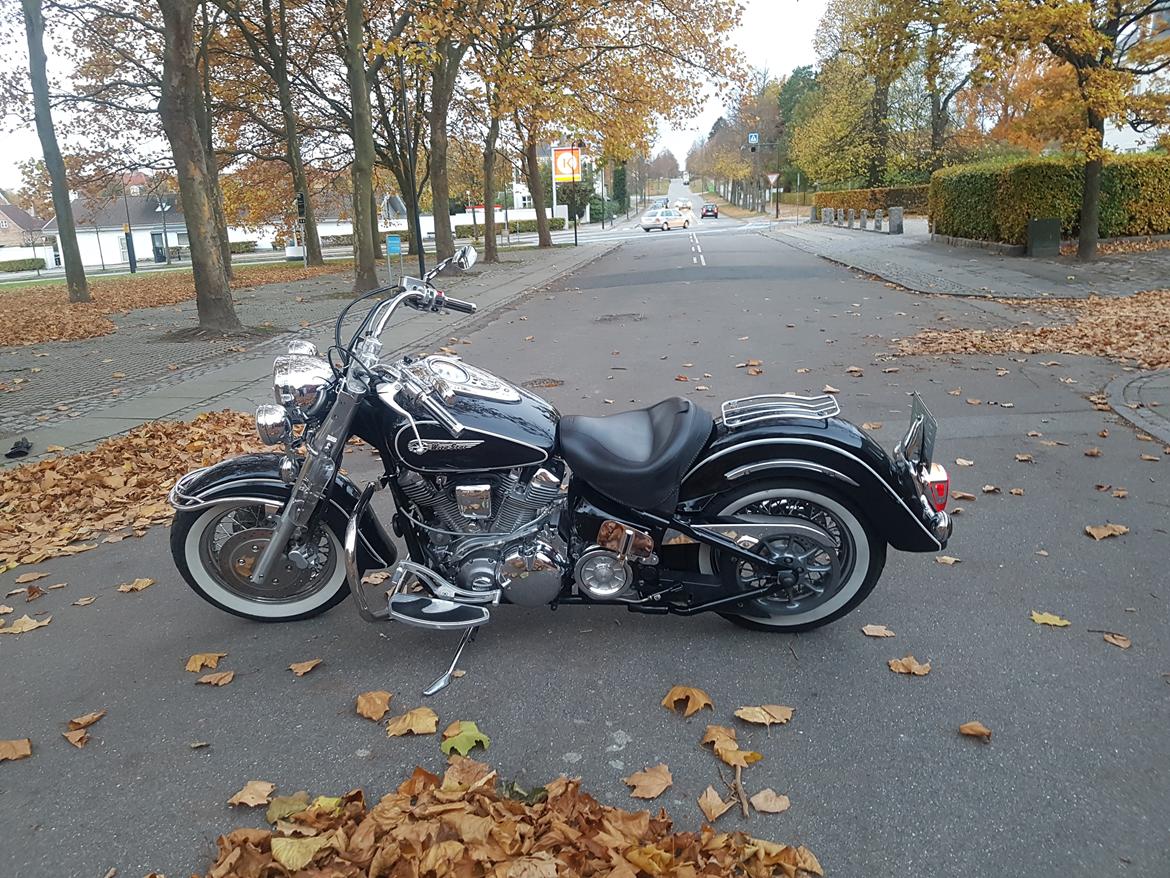 Yamaha XV1600 Road Star billede 5