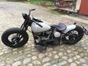Harley Davidson Fl