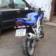 Suzuki SV 650s