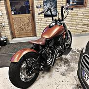 Yamaha Dragstar 1100 BOB