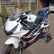 Honda Cbr fireblade 954