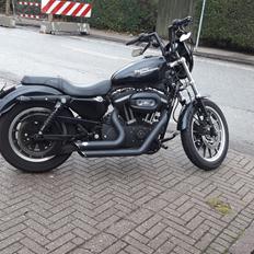 Harley Davidson 883R