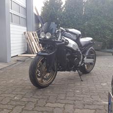 Kawasaki ZX9R NINJA BULLY RACER