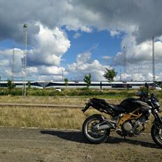 Aprilia Shiver 750