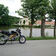 Aprilia Shiver 750