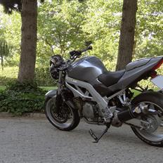 Suzuki SV1000N