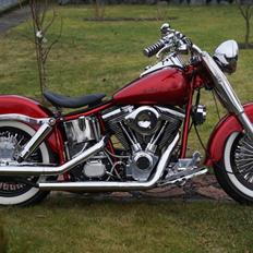 Harley Davidson Fl