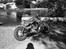 Suzuki VS 800 Intruder