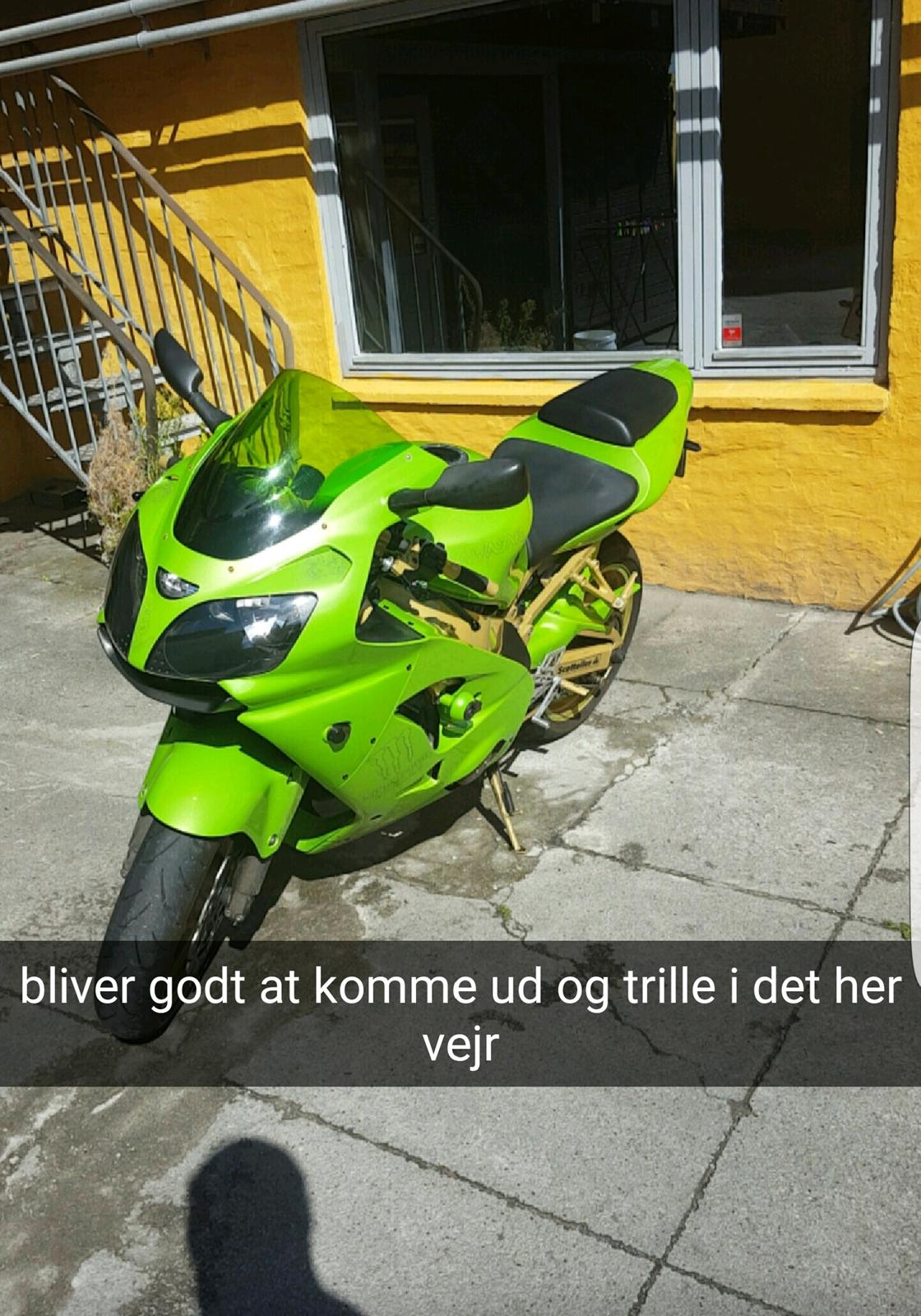 Kawasaki Ninja ZX9R billede 19