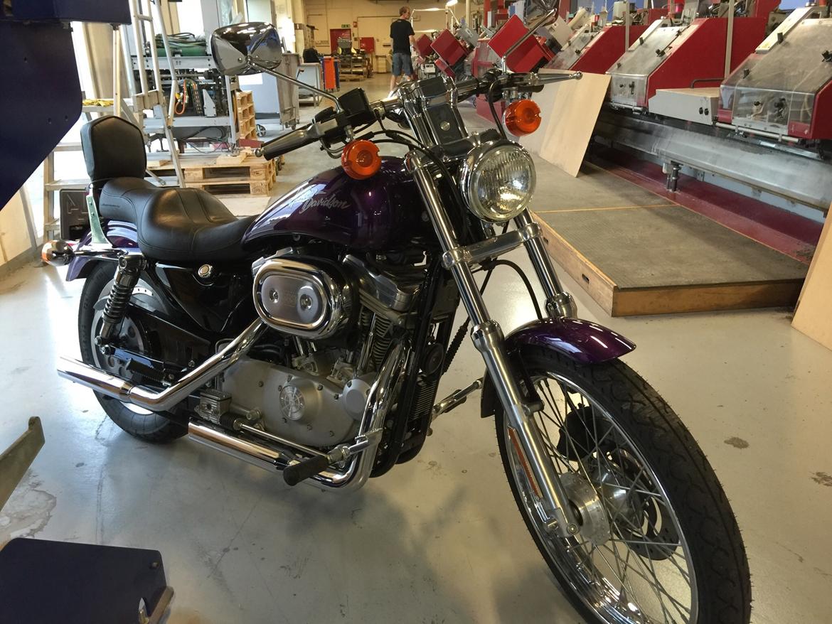 Harley Davidson Sportster billede 7