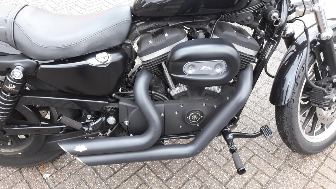 Harley Davidson 883R billede 3