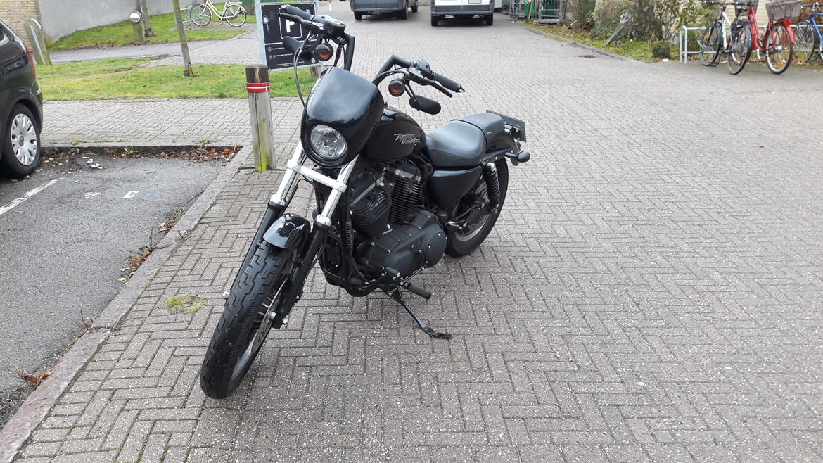 Harley Davidson 883R billede 5