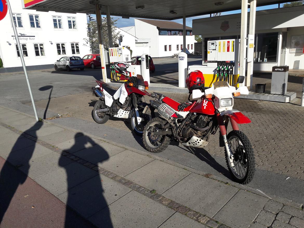 Suzuki DR 650 R billede 6