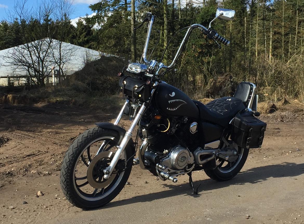 Yamaha XV750SE billede 10