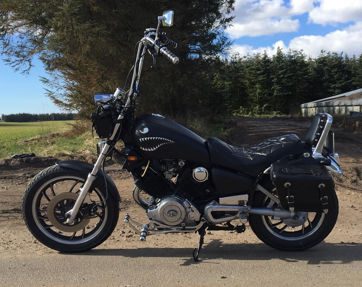 Yamaha XV750SE billede 11