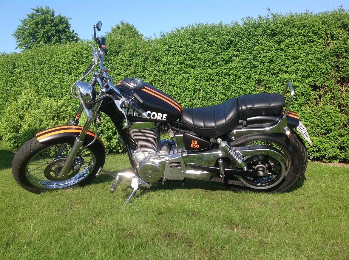 Suzuki Saveg ls650 billede 1