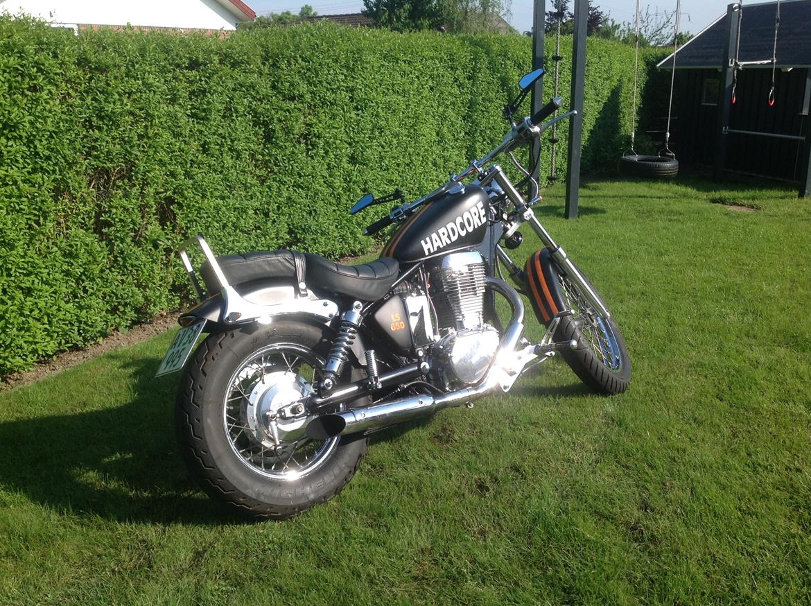 Suzuki Saveg ls650 billede 3