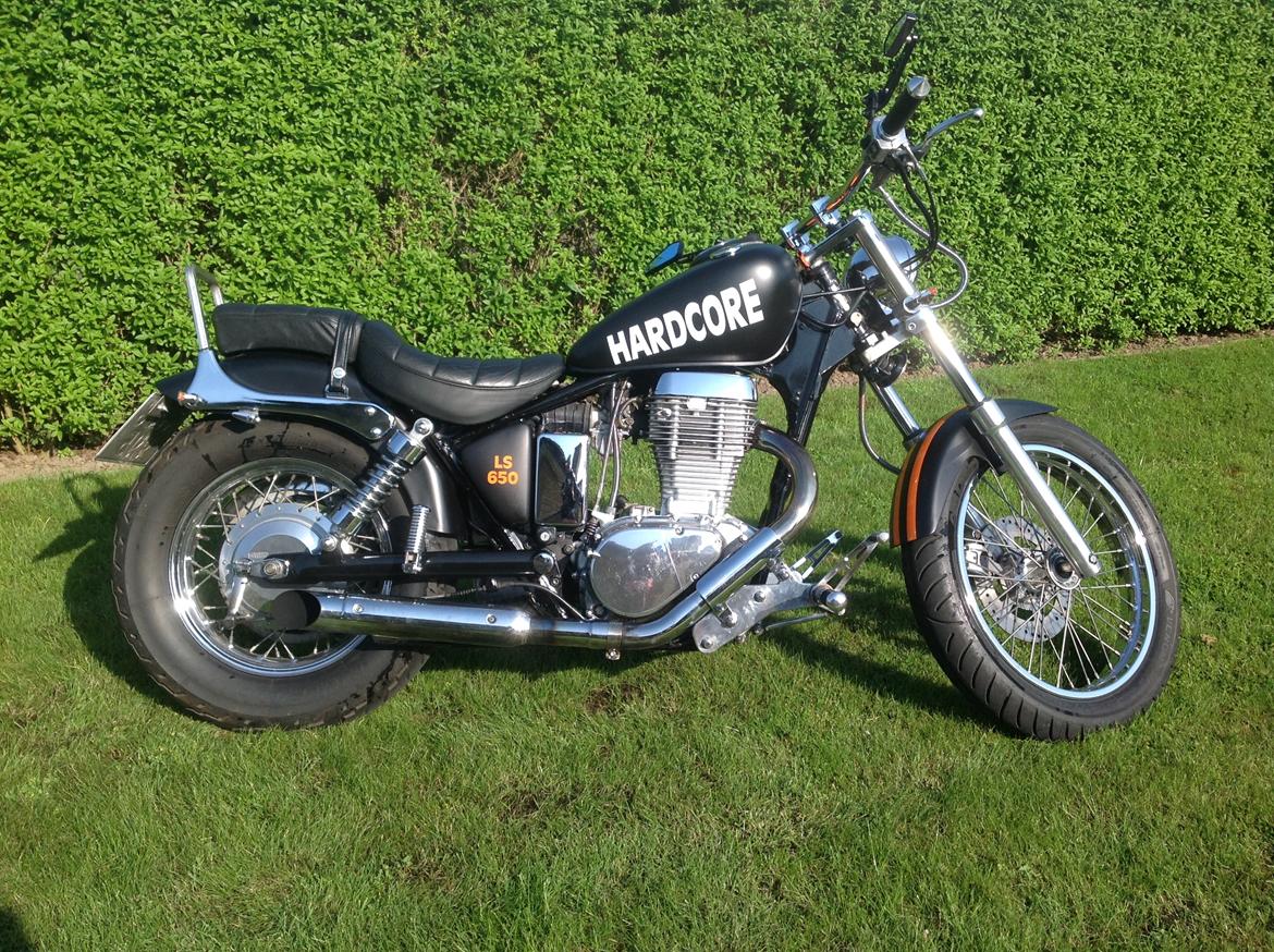 Suzuki Saveg ls650 billede 2
