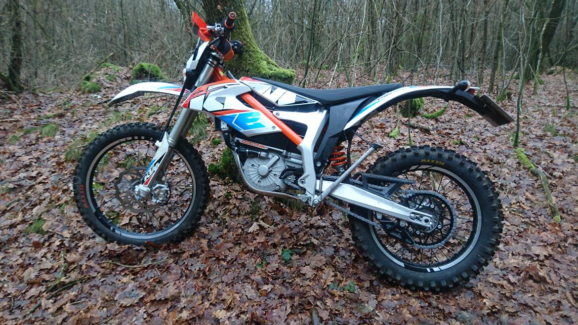 KTM Freeride E E-XC  "ELmis" - Slapper i skoven billede 1