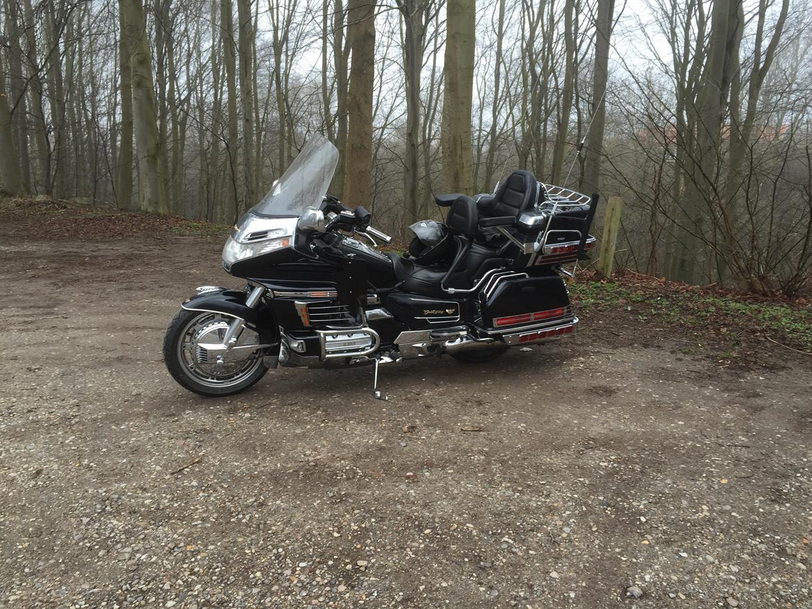 Honda Gold Wing billede 3