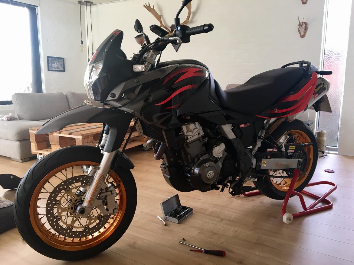 Aprilia Pegaso 650 factory billede 11