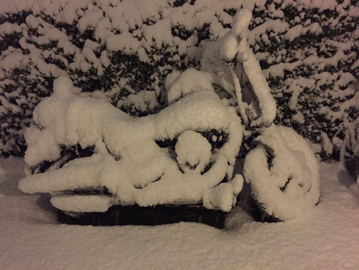 Yamaha Dragstar 1100 billede 3