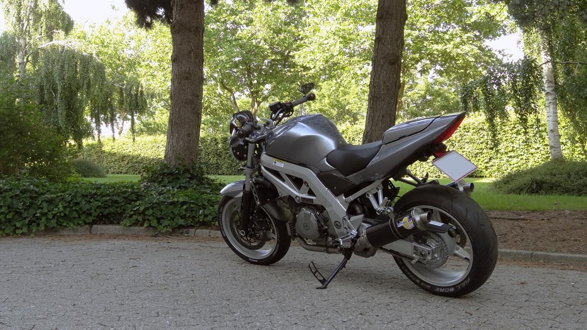 Suzuki SV1000N billede 2