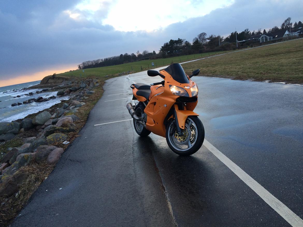 Kawasaki Ninja zx6r  billede 18